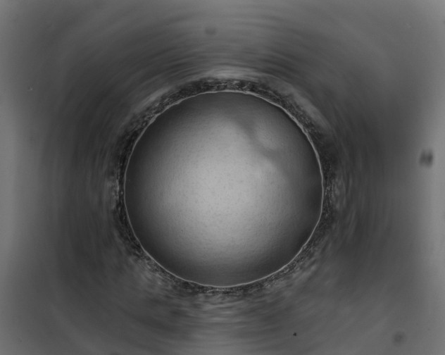 X0000101210821200807071336