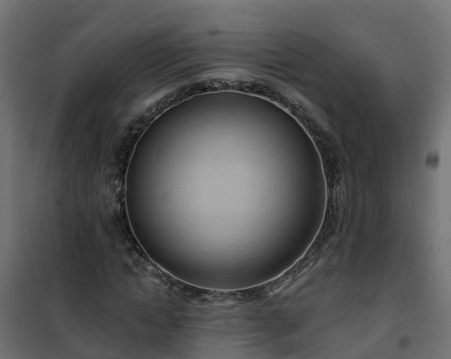 X0000101210822200807071336