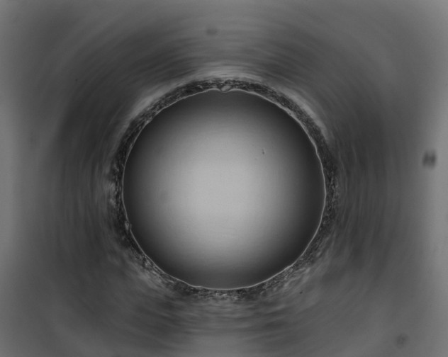 X0000101210823200807071336