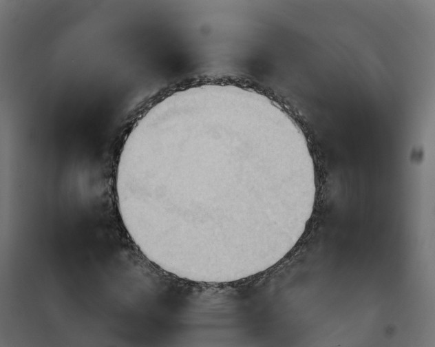 X0000101210824200807071336