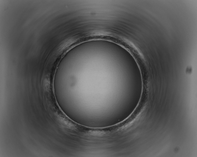 X0000101210825200807071336