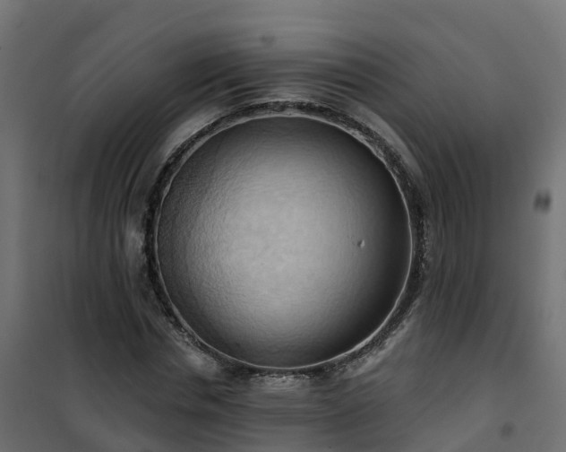 X0000101210826200807071336