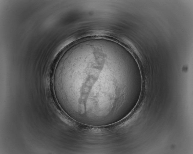 X0000101210827200807071336