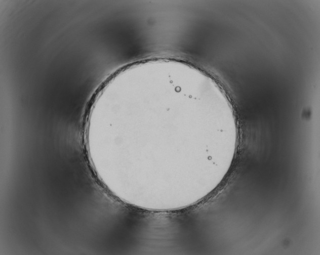 X0000101210828200807071336