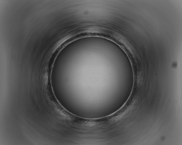 X0000101210829200807071336