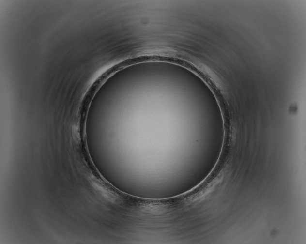 X0000101210830200807071336