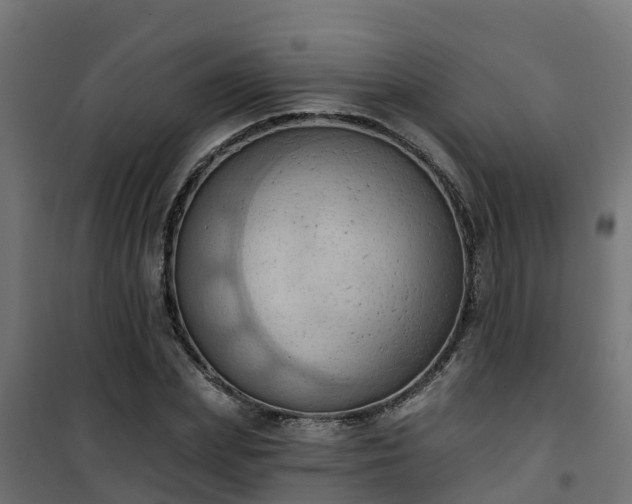 X0000101210831200807071336