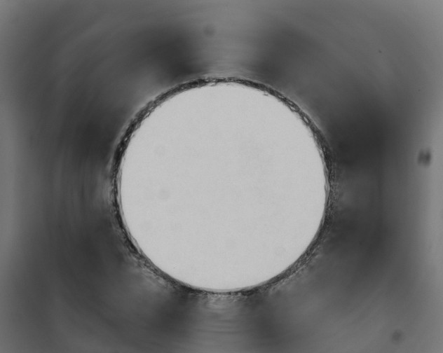 X0000101210832200807071336