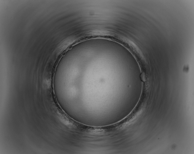 X0000101210833200807071336