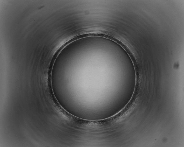 X0000101210834200807071336