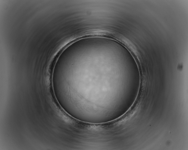 X0000101210835200807071336