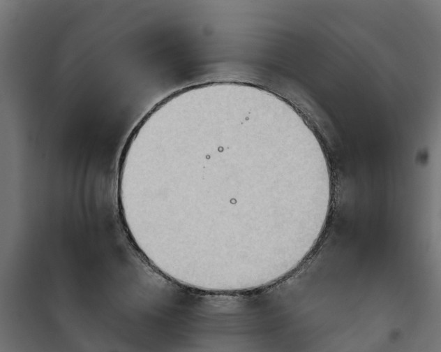 X0000101210836200807071336