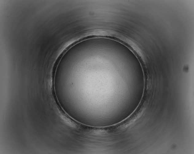 X0000101210837200807071336