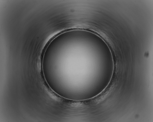 X0000101210838200807071336