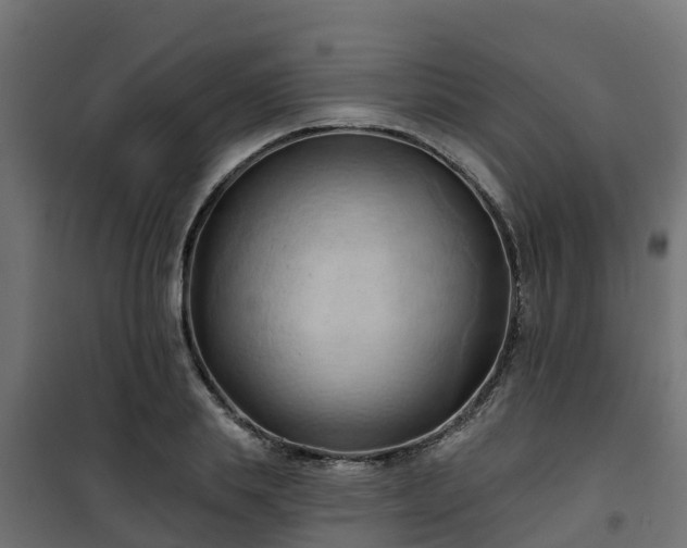 X0000101210839200807071336