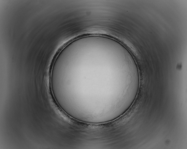 X0000101210840200807071336