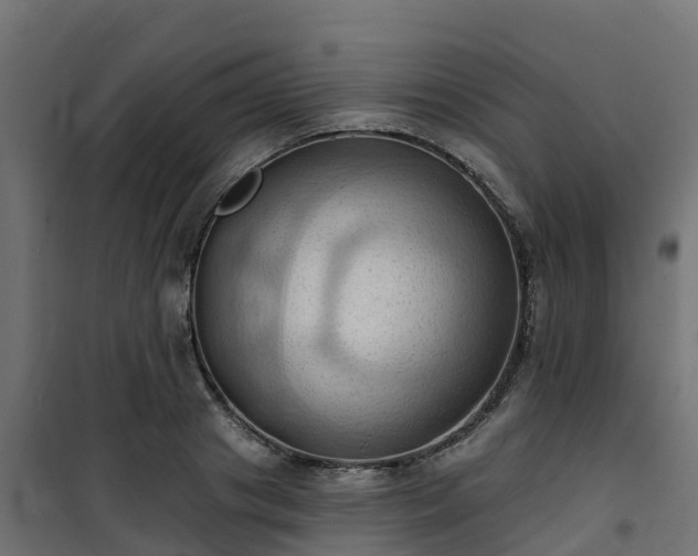 X0000101210841200807071336