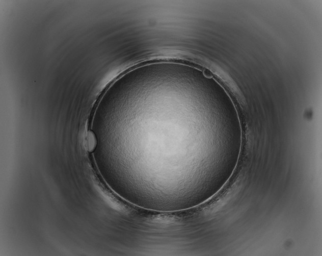 X0000101210842200807071336