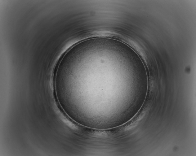 X0000101210843200807071336