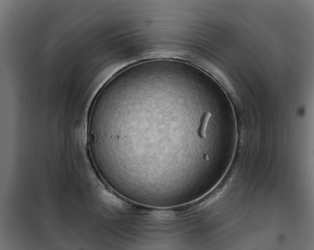 X0000101210844200807071336