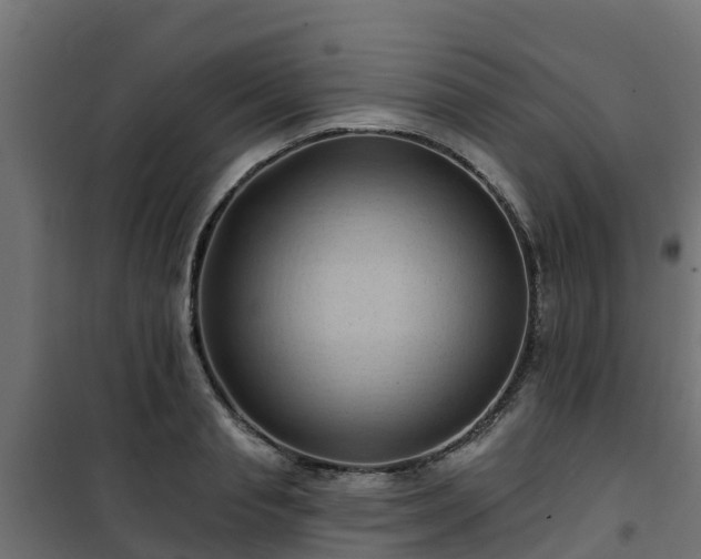 X0000101210845200807071336