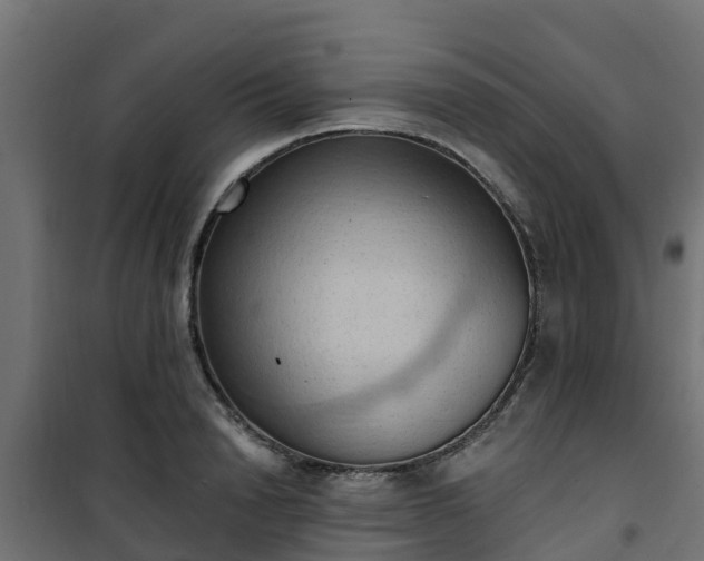 X0000101210846200807071336