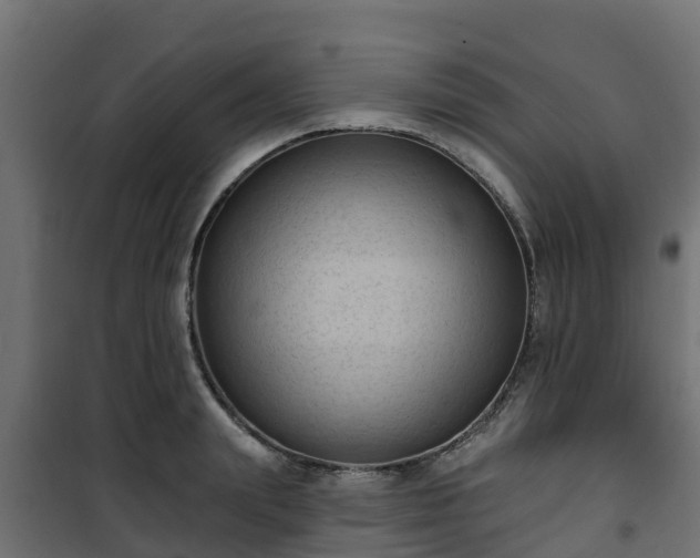 X0000101210847200807071336