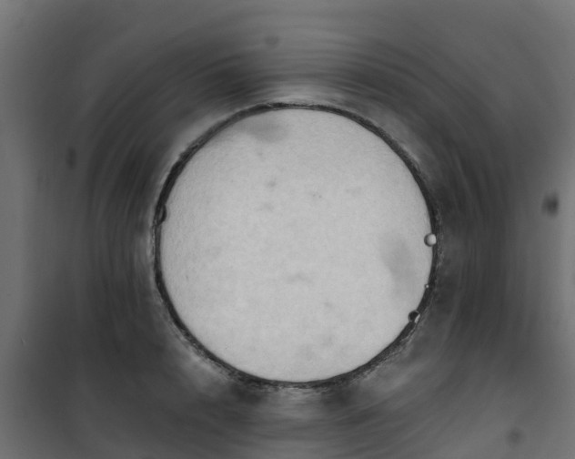 X0000101210848200807071336