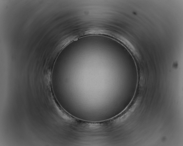 X0000101210849200807071336