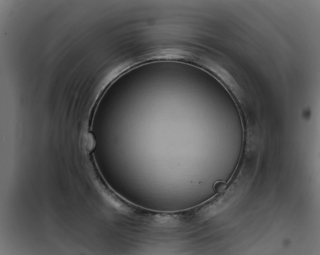 X0000101210850200807071336