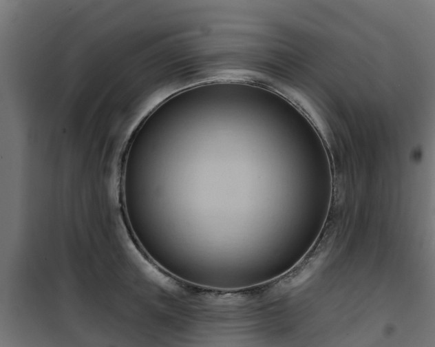 X0000101210851200807071337