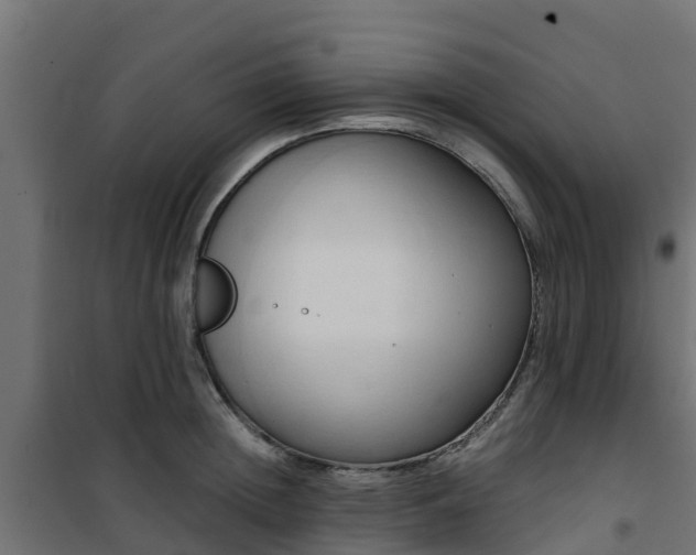 X0000101210852200807071337