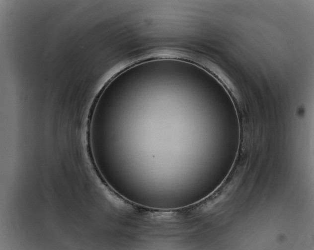 X0000101210853200807071337