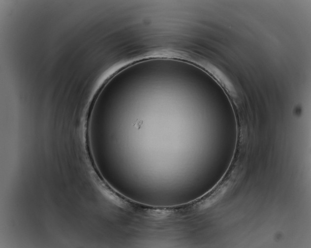 X0000101210854200807071337