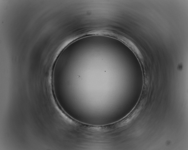 X0000101210855200807071337