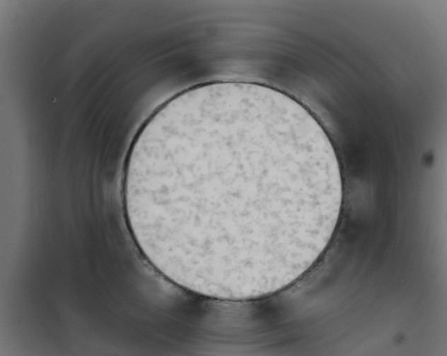 X0000101210856200807071337