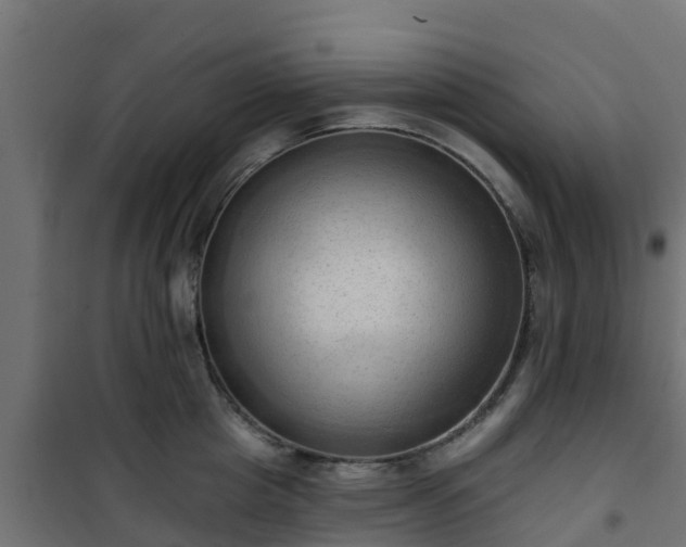 X0000101210857200807071337