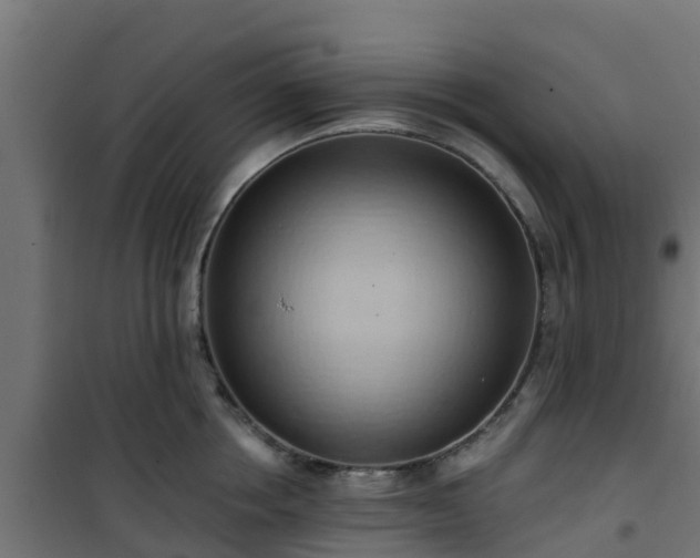 X0000101210858200807071337