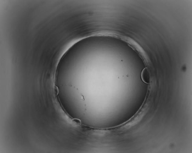 X0000101210860200807071337