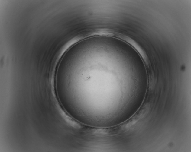 X0000101210861200807071337