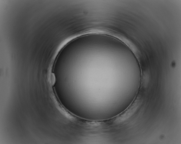 X0000101210862200807071337