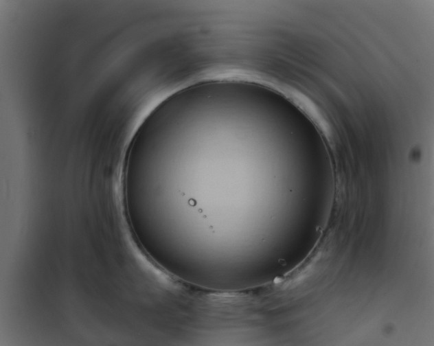 X0000101210863200807071337