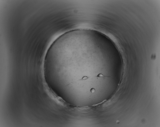 X0000101210864200807071337