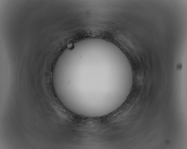 X0000101210865200807071336