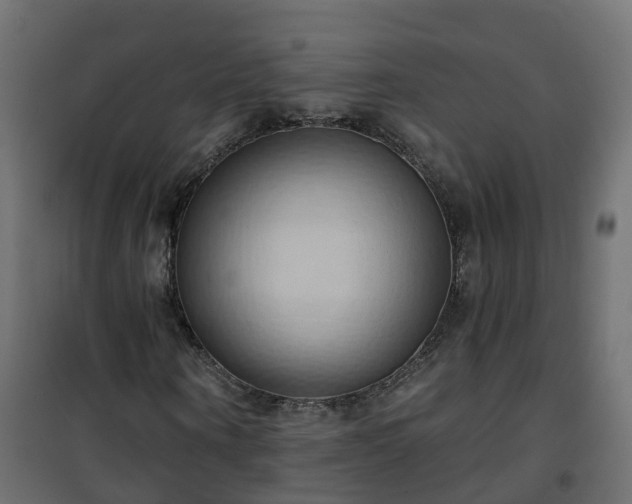 X0000101210866200807071336