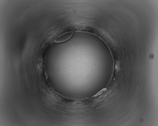 X0000101210867200807071336