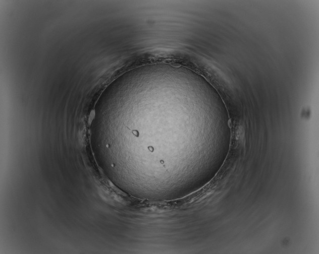 X0000101210868200807071336