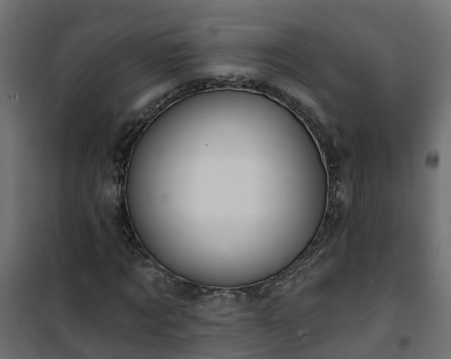 X0000101210869200807071336