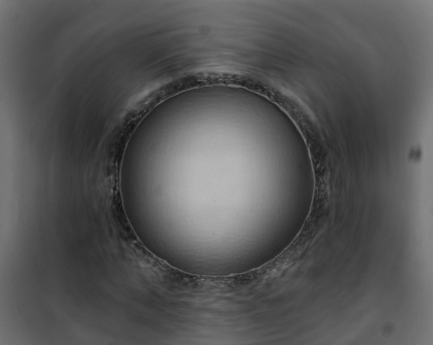 X0000101210870200807071336