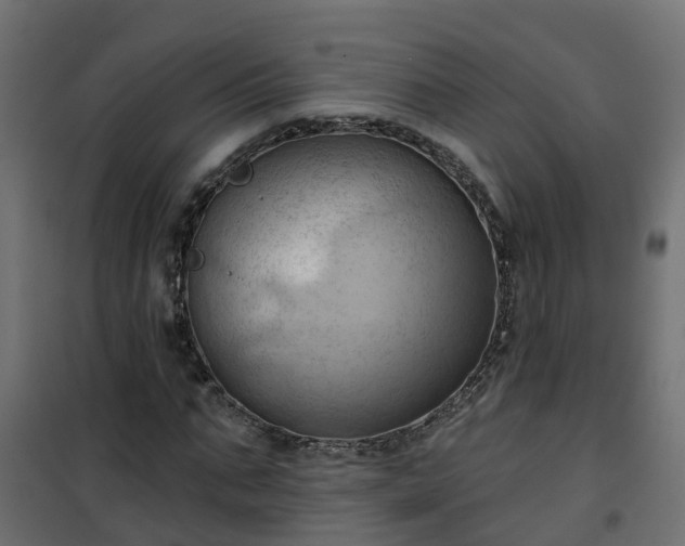 X0000101210871200807071336